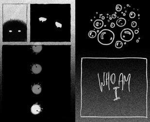 metamorphosis thesis