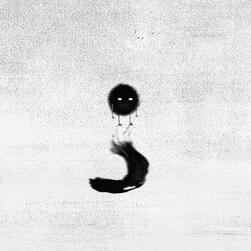 metamorphosis thesis